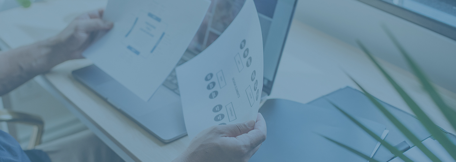 Gestión de Proyectos